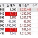 (주)룩손에너지홀딩스 (정정)유상증자결정 이미지