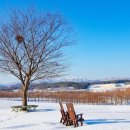 동선목장 이미지