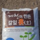 명품퇴비 미디어투데이