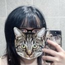 뉴서울미용실 이미지