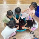 피피쿠스유치원 이미지