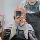 이나경 헤어살롱 | 2021 벚꽃 개화시기 강남역미용실 살롱드드림에서 내 머리에 벚꽃축제