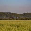 안강역 화장실 이미지