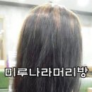 정아머리방 이미지