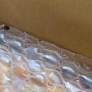 승환목장 이미지