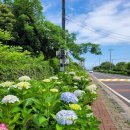 안덕면행정복지센터 이미지