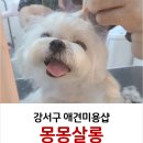 몽몽살롱 이미지