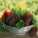 청성농협 이미지