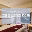 그랜드힐튼호텔맞은편 천변 | [일본] 숙소 고민 끝, 도쿄 여행 로망을 실현한 그랜드 닛코 도쿄 다이바 후기