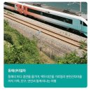 산타 | [강릉] 강릉 동해 산타열차 탑승 후기 / 꿀팁💡