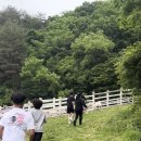 보현목장 이미지