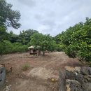 제주민속촌 이미지