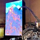 해남공룡박물관 이미지