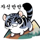 브이아이피서비스 이미지