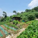 대구문성초등학교 이미지