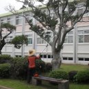 중문초등학교 이미지