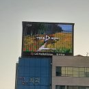 대호광고