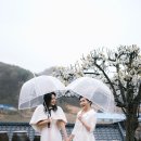 산정리 그옛집 이미지