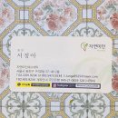 자연미인에스테틱 이미지