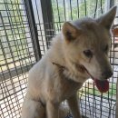 칠성2길 이미지