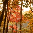 본안경콘택트안경원 이미지