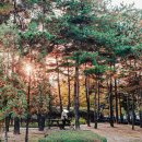 다락원 장애인의집 | 서울 단풍 명소 :: 사람 없어 더 좋은 창포원 단풍구경