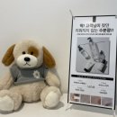 꽃 피우는 여자 이미지