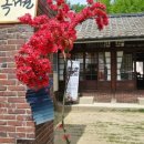 마중게스트하우스 이미지