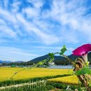 정확한행정사 이미지