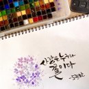 수채화 캘리그라피 이미지