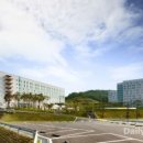 중부대학교 일반대학원 | 지친 몸과 마음을 고치는 비밀? 중부대학교 일반대학원 자연치유학과에서 답을 찾았쥬!