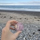 씨유 대구호텔더팔래스점 | 경주 2박 3일 여행 <숙소 및 맛집>