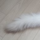 똥싼바지입은고양이