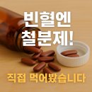 철분 영양제 추천, 실제 복용 후기 알려드려요