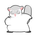 신물금점 기아오토큐 이미지