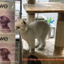 폴리파크 역삼점 이미지