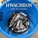 산천어길 196 | 2026 강원도 화천산천어축제 예약낚시터 주차장 준비물 얼음낚시 꿀팁