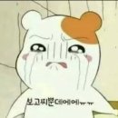 지현헤어 이미지