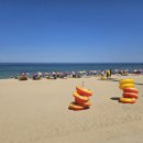 속초해수욕장 이미지