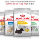 도담챌린지 이미지