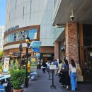 문구잼유성 | 본점 말고 여기로! 성심당 DCC점 평일 대기 제로 망고시루 성공 후기 (주차 꿀팁)