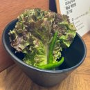 월영동108 | 마산 댓거리 고기집 모옥살 후기