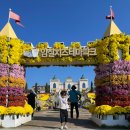 임실엔(N)치즈피자산본점 | 2025년 전북 임실 N 치즈 축제 후기