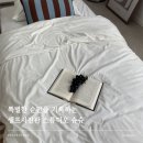슈슈신발 | 구미 셀프스튜디오 슈슈 방문 후기, 아이와 함께하기 좋은 감성 셀프 사진관