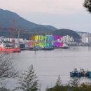 바다나무 민박 이미지