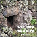 구억리 검은굴 | 제주 서쪽 아이와 함께 가볼만한 현장체험학습 기념물 구억리 검은굴