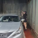 대화미래로셀프세차장 이미지