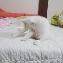 두리동물클리닉 이미지