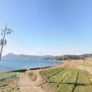 금화공인중개사사무소 이미지