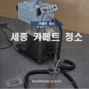 세종 카페트 청소 작업 후기